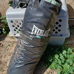 Everlast punching bag