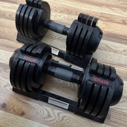 Adjustable Weights
