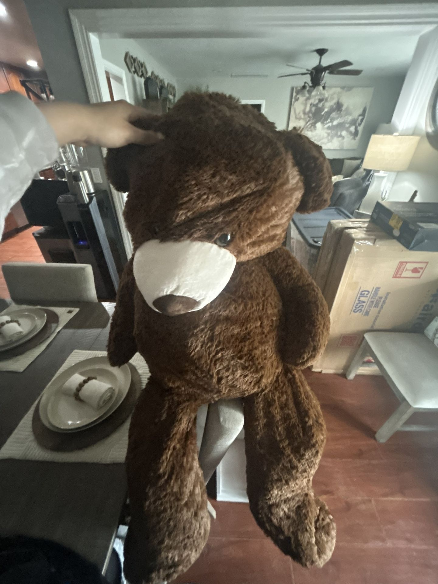 Dark Brown Bear 59 Inches - $40
