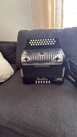 ACCORDION SOL PANTHER