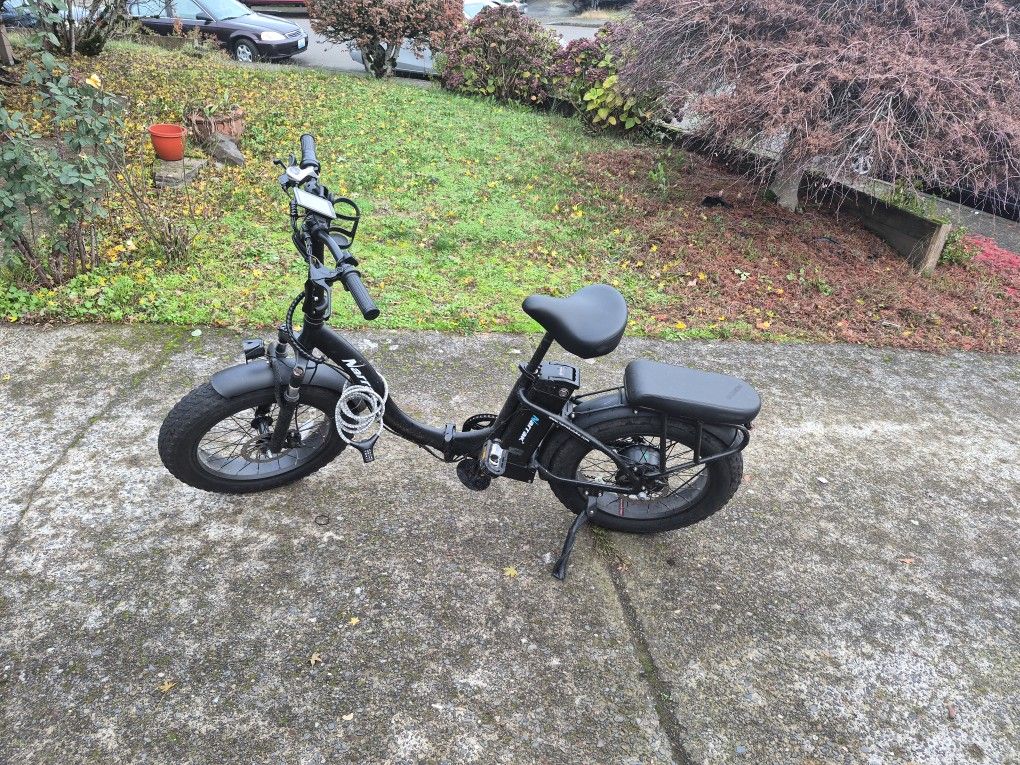 For Trade Large Narrak Ebike