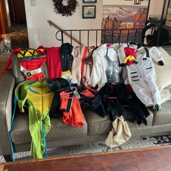 Dress Up Costumes lot