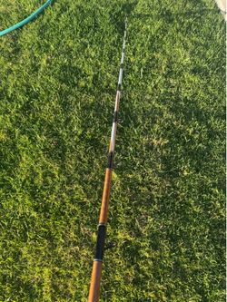 Creamsicle Seeker S/B Ulua