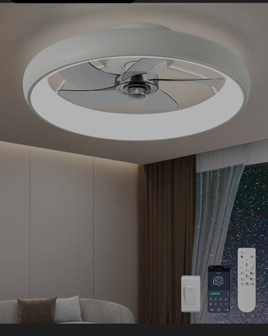 Ceiling Fan With Light
