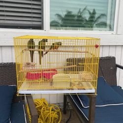 Cage