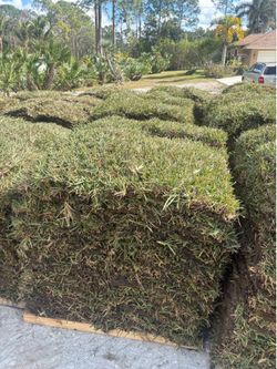 Need SOD?