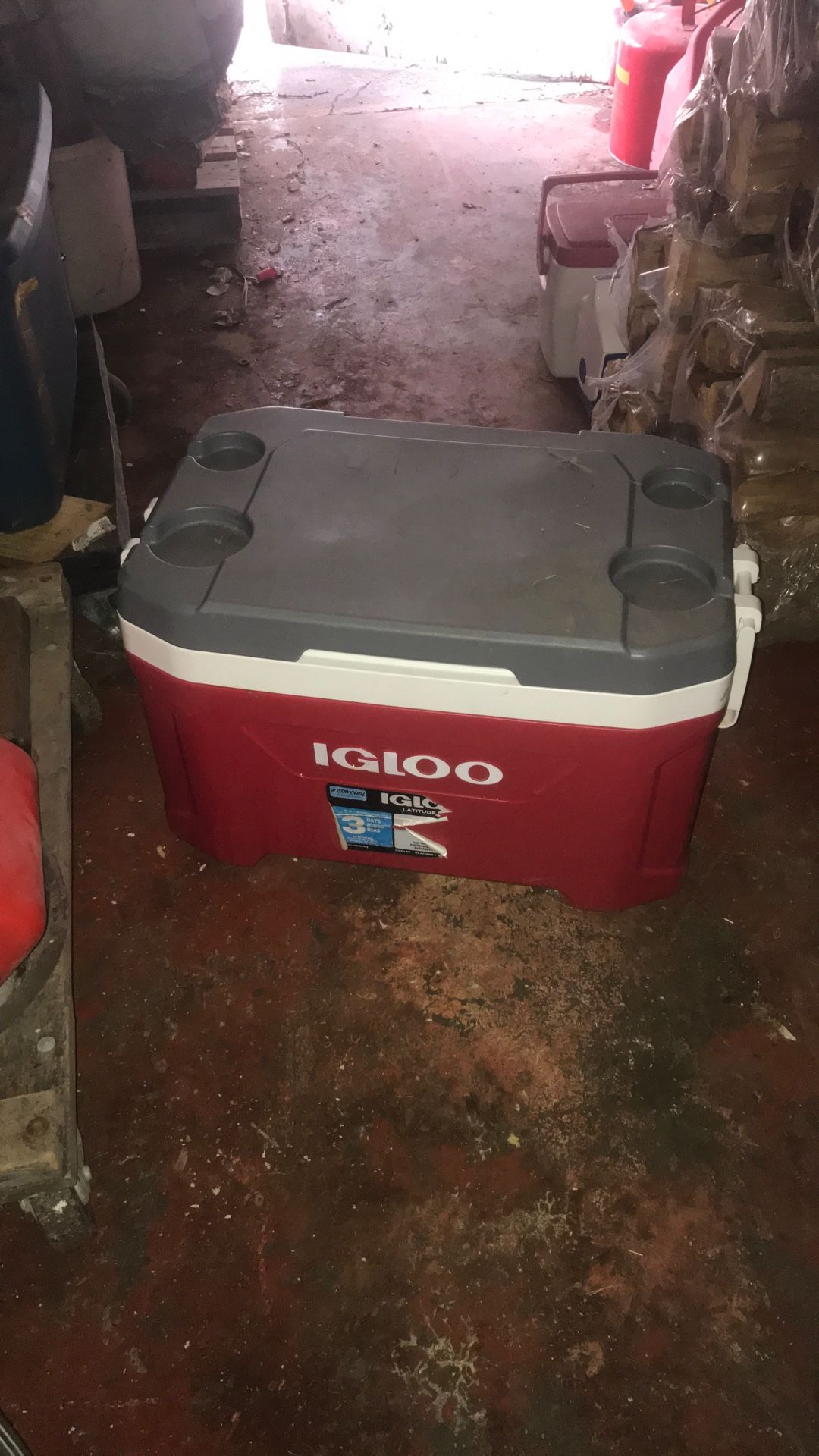Igloo Cooler