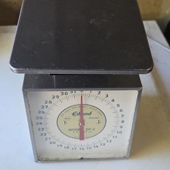 Portion control commercial scale