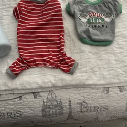 Tiny Little Dog Shirt And Pjs Size XS