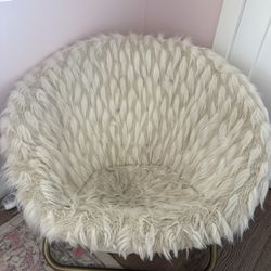 Pottery Barn Teen Faux Fur Hang-A-Round Chair