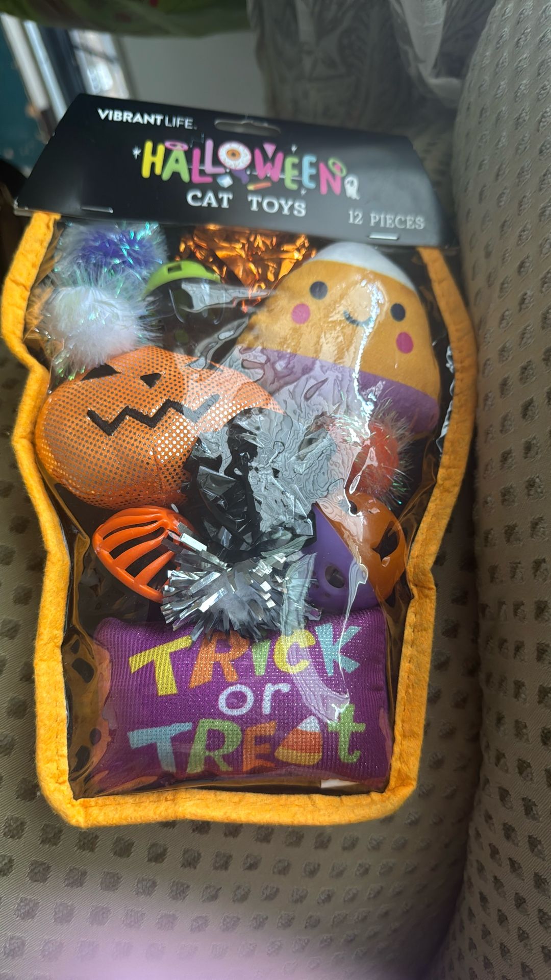 Cat Toys