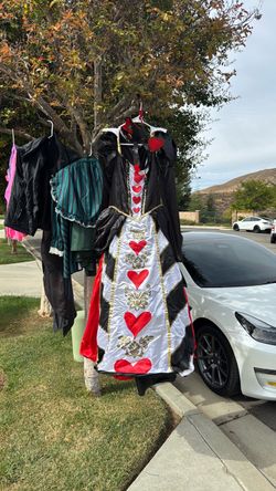 Queen of hearts costume Queen of hearts costume