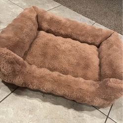 New Dog Bed