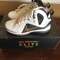 Nike Lebron 9 P.S. Elite Home