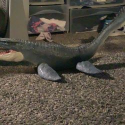 Toy Mosasaurus From Jurassic World Matel Toys