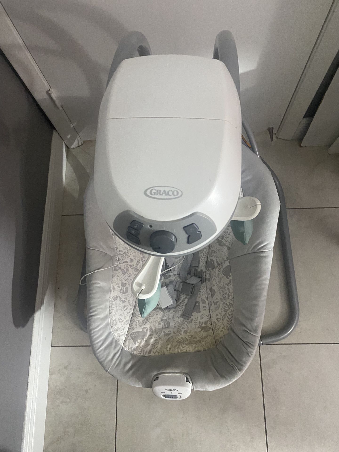 Graco Swing