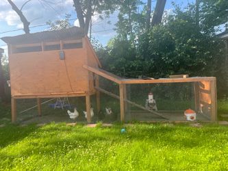 Chicken coop