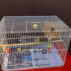 Birds Cage With Everything Size 16 X 24 &!16 Inch High 