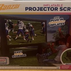 Inflatable Projector Screen 