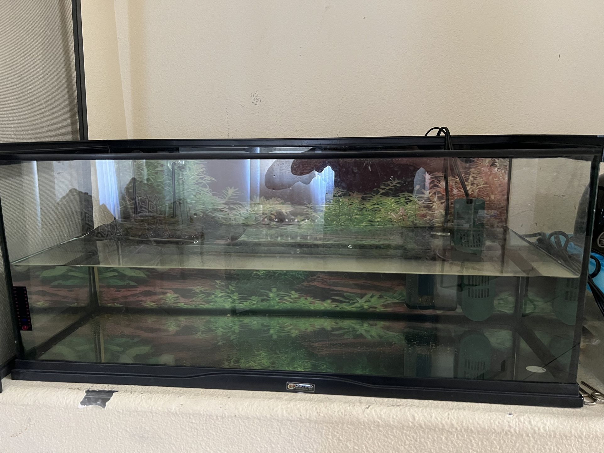 Turtle Tank 30gal