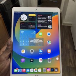 Apple IPad Pro 10.5 Inch 256gb With Apple Pencil 1st Generation 