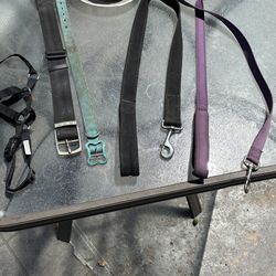 Dog Leashes 