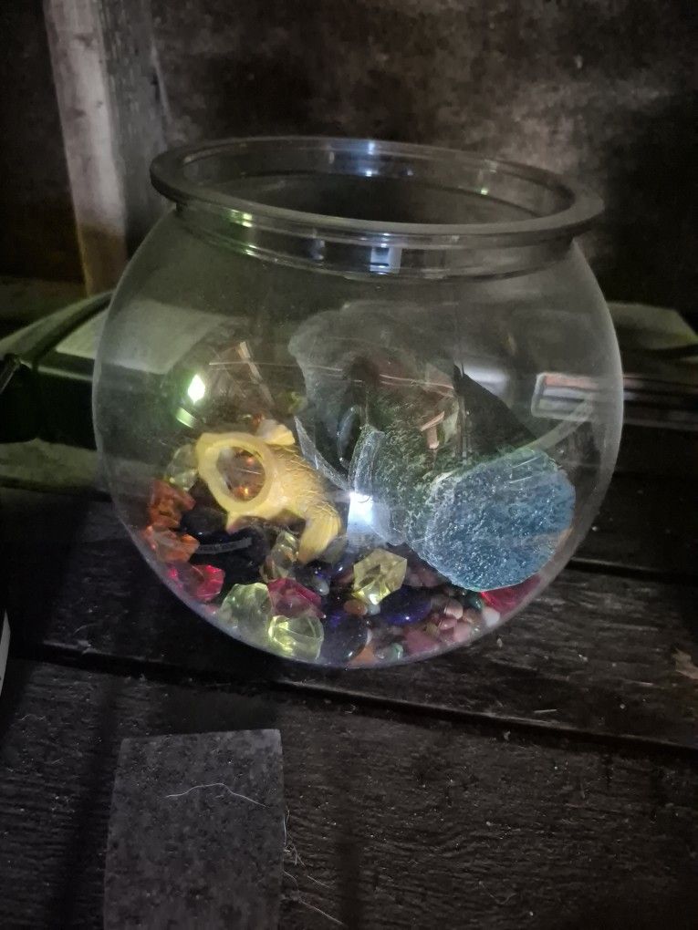 Fish Bowl