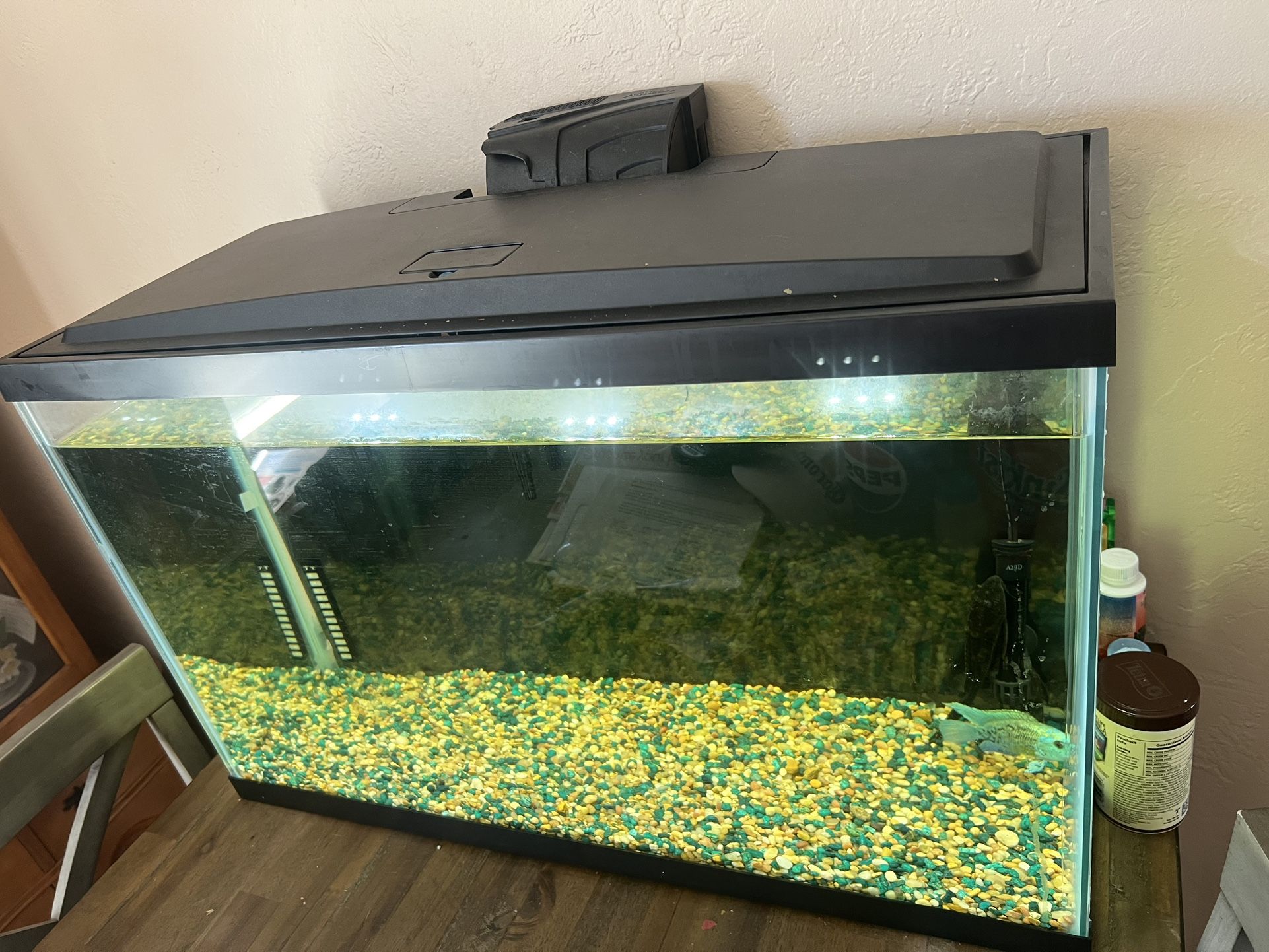 29 Gallon Aquarium.
