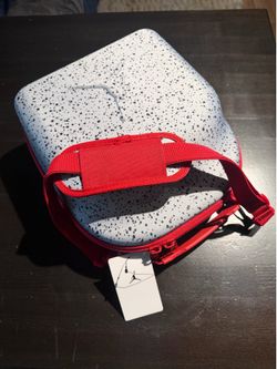 Jordan Travel Case for Caps NWT
