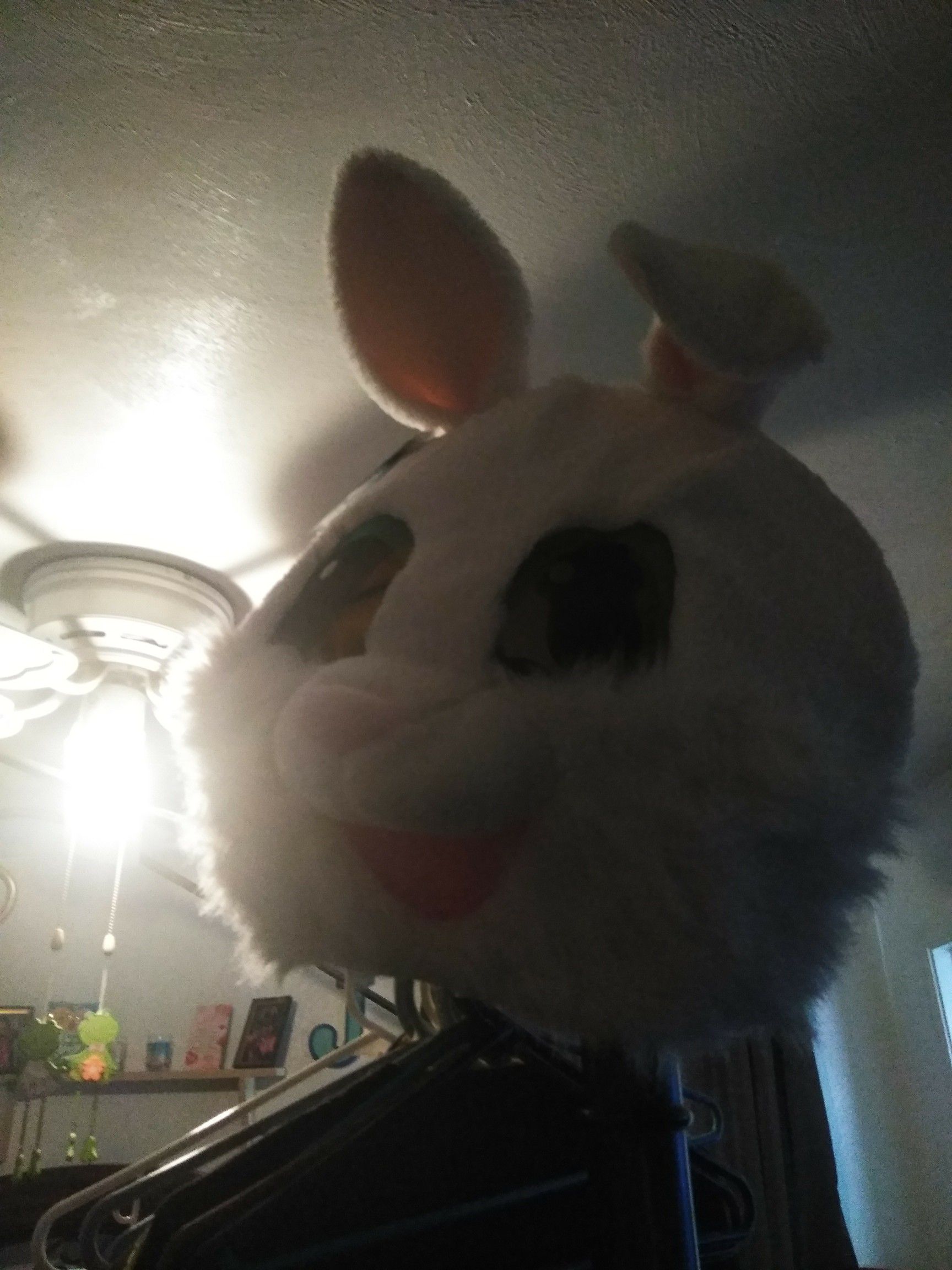 I have Easter bunny costume $50