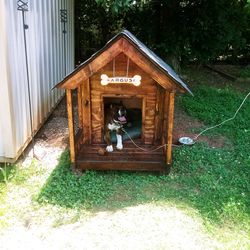 Dog house