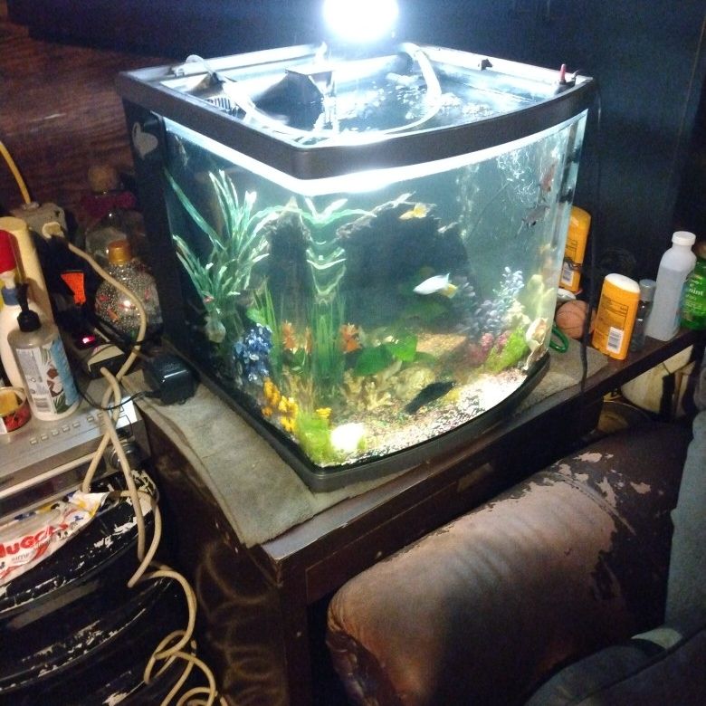 Fish Tank And Accessories 