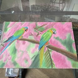 Parrots 