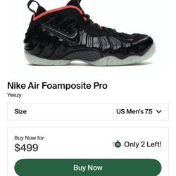 Brand New Nike Foamposite Yeezy Size 7.5 Men