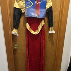 Queen Renaissance Velvet Dress & Robe Costume