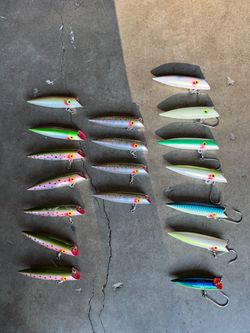 Salmon plugs