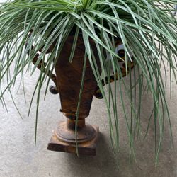 Fake Plant