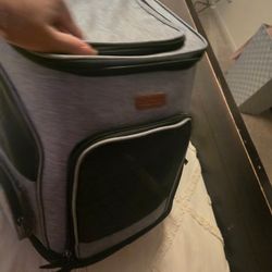 Cat Bag