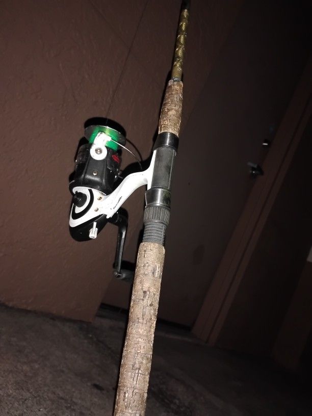 Berkeley Fusion Reel With A Vintage Rod