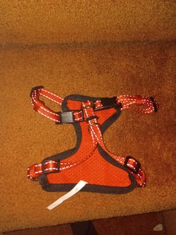 Harness