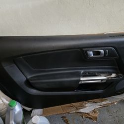 15-23 Mustang Door Panel