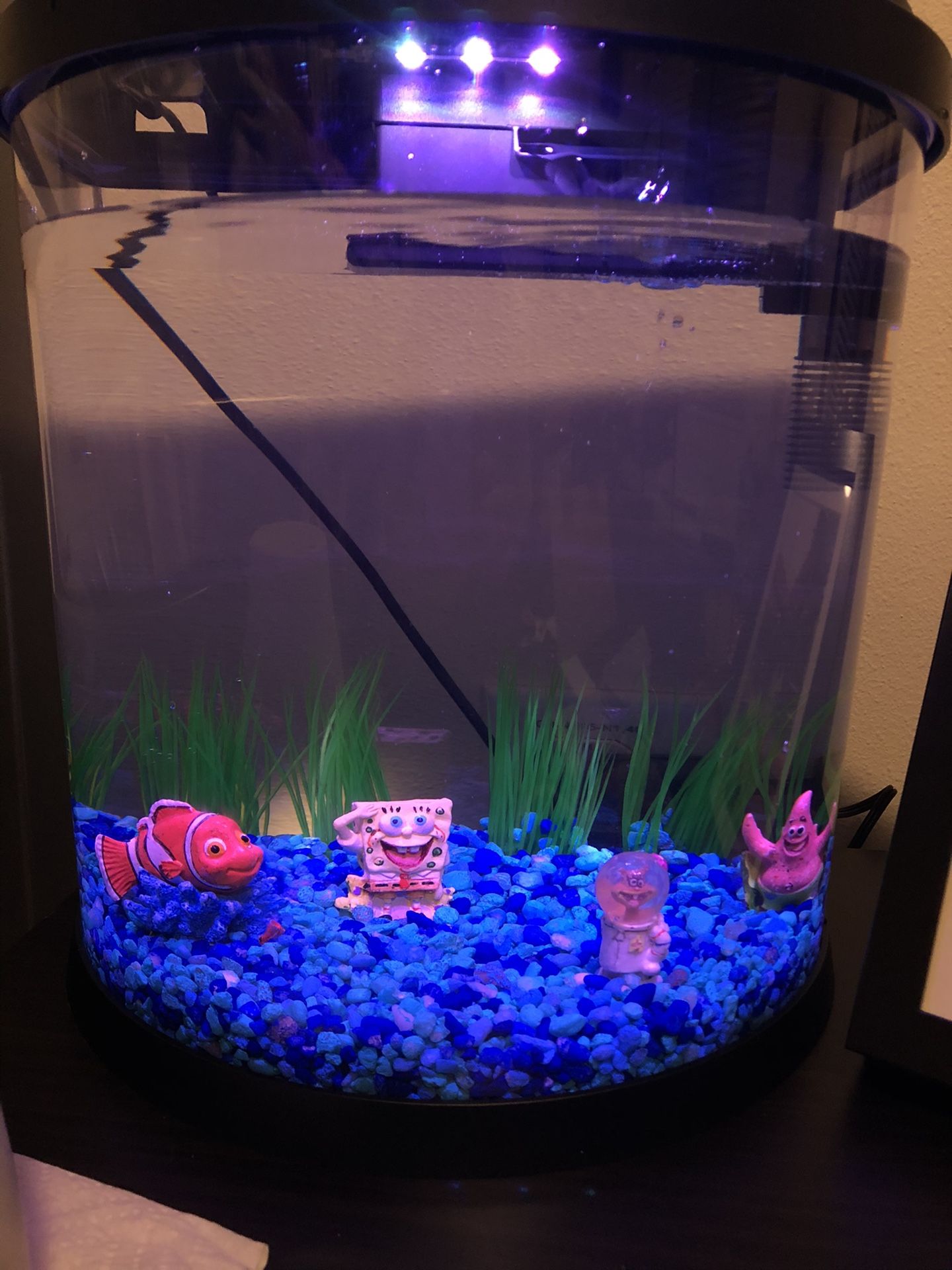 3.5 Gallon Fish Tank