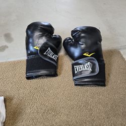 Box Training Gloves 