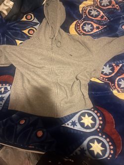 Polo (L)