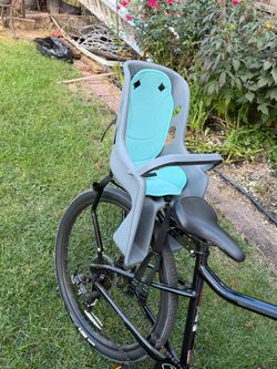 toddler bike seat