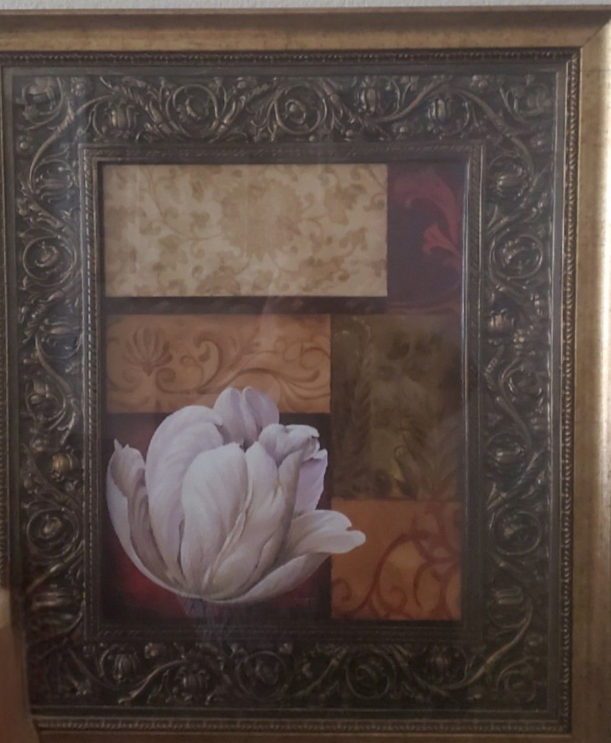 WHITE TULIP FRAME