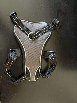 Dog Harness