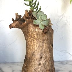Live Succulents Wood Planter