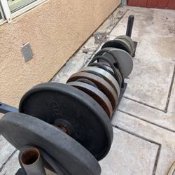 Plate Weight Rack 