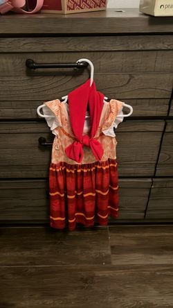 Toddler girl Dolores/Encanto costume size 2T